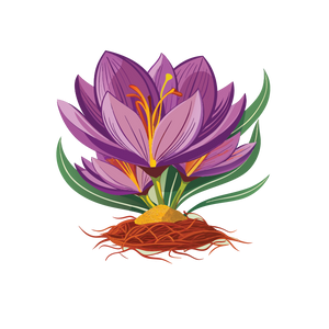 Saffron